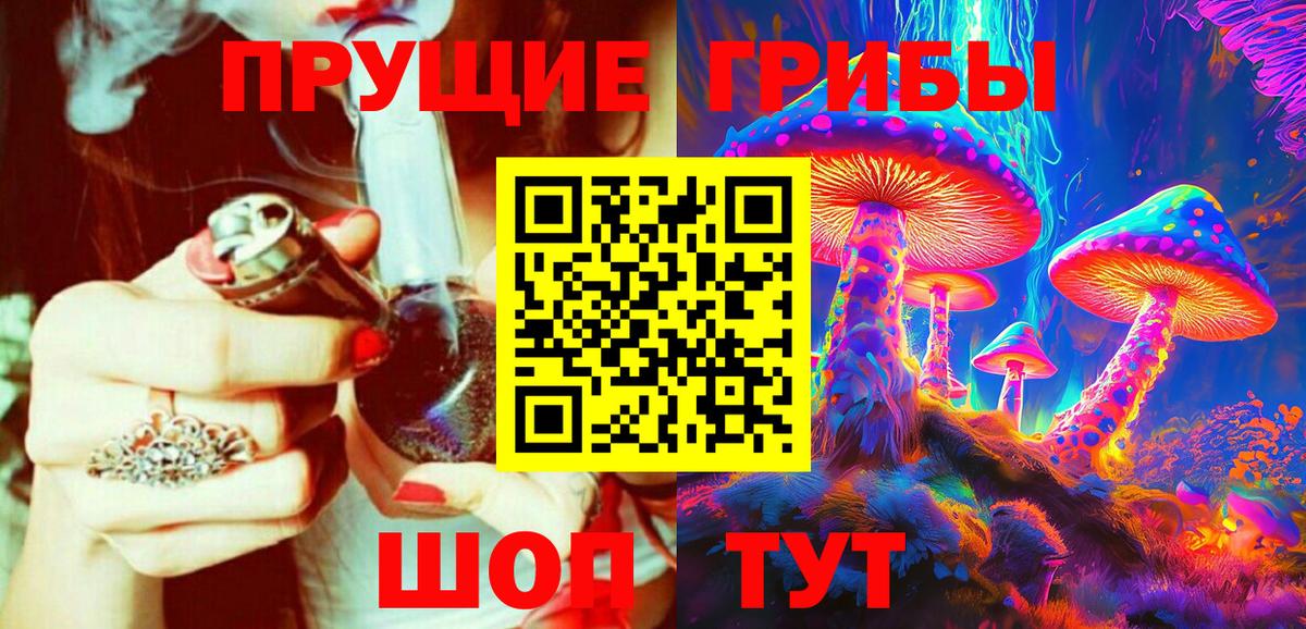 Псилоцибиновые грибы MAGIC MUSHROOMS  сколько стоит  Севастополь  Галлюциногенные грибы прущие грибы  Вход с VPN 