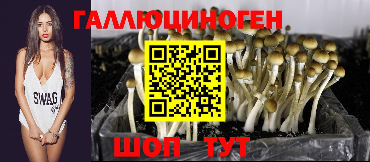 Галлюциногенные грибы MAGIC MUSHROOMS Севастополь